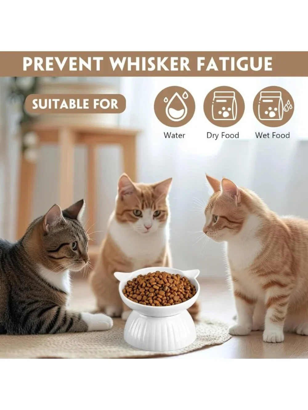 6 Pack Tilted Ceramic Cat Bowls - Anti-Vomiting, Elevated Feeder for Cats